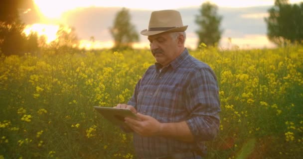 Фермер проверяет посевы рапсового поля с помощью цифровой таблетки против красивого желтого рапсового поля. Сельское хозяйство, цветение — стоковое видео