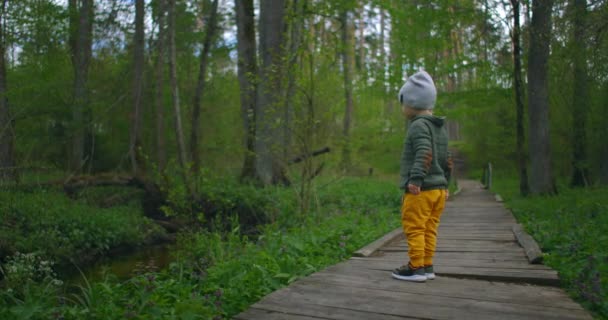 Θέα από πίσω ένα μικρό αγόρι στέκεται σε ένα ξύλινο μονοπάτι σε ένα εθνικό πάρκο και βλέπει τον γύρω κόσμο και τη φύση. περιπέτεια για τα παιδιά. Θέλω να μάθω τα πάντα και να εξερευνήσω — Αρχείο Βίντεο