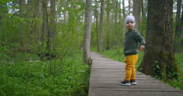 Lihat dari belakang seorang anak kecil berdiri di jalan kayu di Taman nasional dan melihat dunia sekitarnya dan alam. petualangan untuk anak-anak. Aku ingin tahu semuanya dan menjelajah — Stok Video