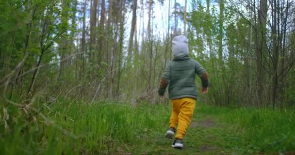 Θέα από το πίσω μέρος ενός αγοριού που τρέχει μέσα από το δάσος σε αργή κίνηση. Η έννοια της ελεύθερης παιδικής ηλικίας σε αρμονία με τη φύση. Προστασία του περιβάλλοντος. — Αρχείο Βίντεο