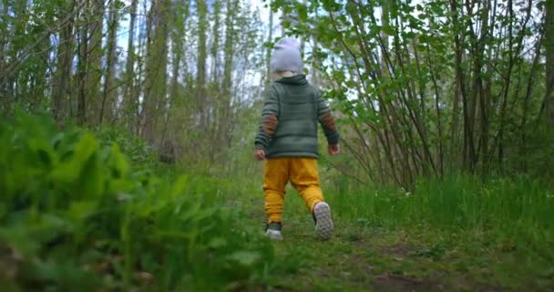 Un petit garçon marche le long d'un sentier forestier et regarde les arbres autour de lui. Petit voyageur explorateur. Le concept de surmonter les difficultés et d'avancer. — Video