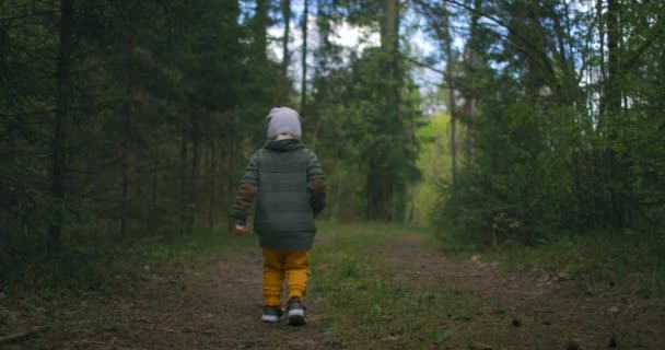 Маленький мальчик идет по лесной тропинке и смотрит на деревья вокруг него. Маленький путешественник. Концепция преодоления трудностей и продвижения вперед . — стоковое видео