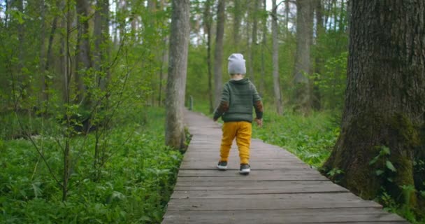 Blick von hinten: Ein kleiner Junge läuft auf einem Holzweg in einem Nationalpark und sieht die Welt und die Natur um sich herum. — Stockvideo