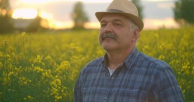 Şapkalı yaşlı bir çiftçi gün batımında duruyor ve uzaklığa bakıyor. Başarılı bir iş günü konsepti. Sarı çiçek tarlasında traktör sürücüsü