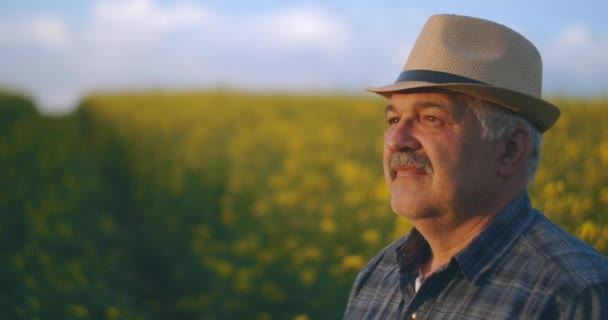 An elderly farmer in a hat stands at sunset and looks into the distance. The concept of a successful working day. Tractor driver in a field of yellow flowers — Stock Video