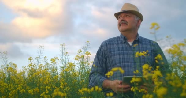 Um fazendeiro homem em um chapéu com comprimidos em um campo de flores amarelas olha para a distância e pressiona o dedo na tela do tablet. Usar tecnologias modernas na agricultura — Vídeo de Stock