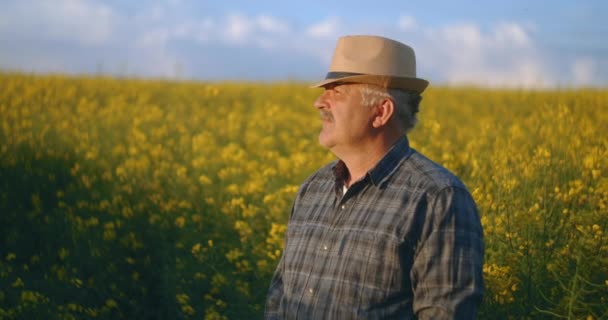 帽子をかぶった高齢者の農家は日没時に立ち、距離を見ています。成功した労働日の概念。黄色の花のフィールド内のトラクタードライバー — ストック動画