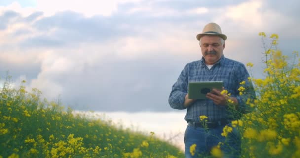 En man bonde i en hatt med tabletter i ett fält av gula blommor tittar in i avståndet och trycker fingret på tablettskärmen. Användning av modern teknik inom jordbruket — Stockvideo