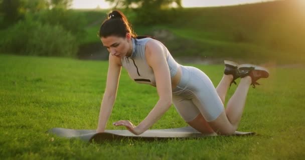 Rzadki widok seksownej dziewczyny podnosi się z parku o zachodzie słońca. Ćwiczenia. Praca nad pięknym ciałem rano lub o zachodzie słońca. trening na świeżym powietrzu — Wideo stockowe