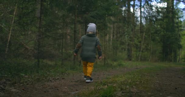 Vista desde atrás: El niño camina por el sendero del bosque. Caminando a un joven explorador en el parque — Vídeos de Stock