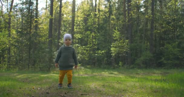 Un petit garçon de 2-3 ans se promène dans les bois sur un sentier par une journée ensoleillée. Un jeune explorateur commence son aventure dans le parc. Connaître le monde