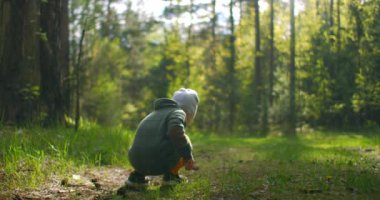 2-3 yaşlarında küçük bir çocuk ormanda tümsekleri topluyor. Güneşli bir günde ormanda çim ve bitkileri inceleyen bir çocuk.