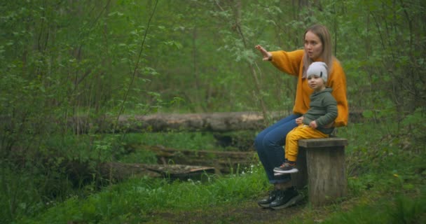 Mama i syn siedzą w lesie na drzewie. Młoda matka opowiada chłopcu o pięknie lasu i przyrody — Wideo stockowe