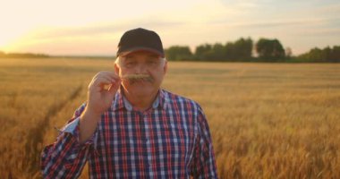 Gün batımında elinde bir buğday ya da çavdar fırçası olan yaşlı çiftçinin yakından bakıp gün batımında aromanın tadını yavaş çekerken görüntüsü.