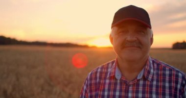 Yaşlı bir çiftçinin portresi tahıl tarlasında kameraya bakıyor ve gün batımında gülümsüyor. Traktör sürücüsü şapkasını çıkardı ve kameraya ağır çekimde baktı.