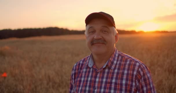 Porträt eines lächelnden erwachsenen Landwirts mit Mütze auf einem Getreidefeld. Im Sonnenuntergang lächelt ein älterer Mann im Traktorfahrer nach einem Arbeitstag und blickt in die Kamera. — Stockvideo