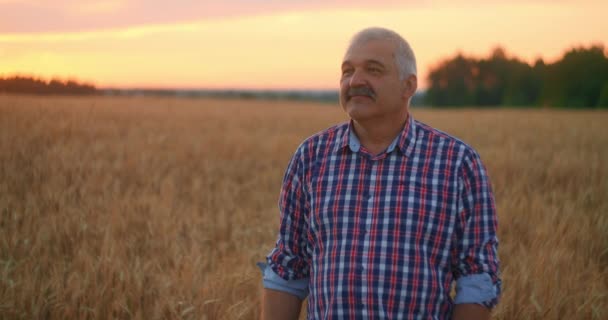 Portrait d'un agriculteur adulte âgé dans un champ de céréales regardant la caméra et souriant au coucher du soleil. Le conducteur du tracteur enlève sa casquette et regarde la caméra au ralenti — Video