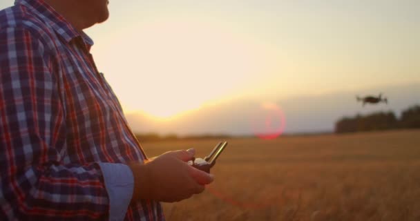 Egy idősebb felnőtt farmer sapkában egy drónt használ, hogy átrepüljön egy búzamező felett. Egy idős farmer egy vezérlővel irányítja a drónt. Modern technológiák a mezőgazdaságban — Stock videók