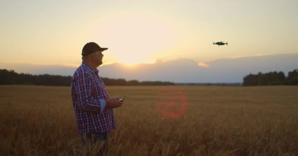 Egy idős férfi agronómus a gabonatermesztés területén egy drónt vezet joystick vezérlővel. Egy idős ember és a modern technológia. — Stock videók