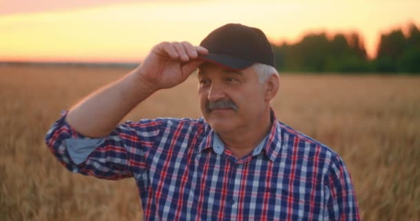 Porträt eines erwachsenen Landwirts auf einem Getreidefeld, der in die Kamera blickt und bei Sonnenuntergang lächelt. Der Traktorfahrer nimmt seine Mütze ab und blickt in Zeitlupe in die Kamera — Stockvideo