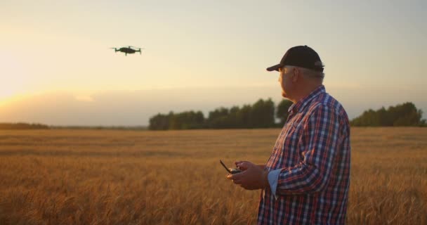 Старший взрослый фермер в кепке использует дрон, чтобы пролететь над полем пшеницы. Пожилой фермер использует контроллер, чтобы контролировать дрон. Современные технологии в сельском хозяйстве — стоковое видео