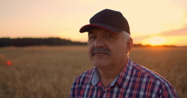 Портрет старшего взрослого фермера в поле зерна, смотрящего в камеру и улыбающегося на закате. Водитель трактора снимает кепку и смотрит на камеру в замедленной съемке. — стоковое видео