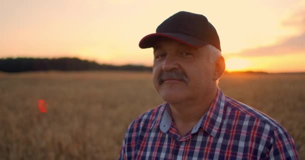 Retrato de um agricultor idoso sorridente em um gorro em um campo de cereais. Na luz do pôr do sol, um homem idoso em um motorista de trator depois de um dia de trabalho sorri e olha para a câmera . — Vídeo de Stock