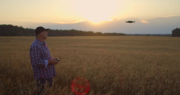 Een oudere volwassen boer met een pet gebruikt een drone om over een tarweveld te vliegen. Een oudere boer gebruikt een controller om de drone te controleren. Moderne landbouwtechnologieën — Stockvideo