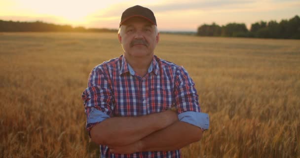 Portrait d'un agriculteur âgé souriant dans une casquette dans un champ de céréales. Au coucher du soleil, un homme âgé dans un conducteur de tracteur après une journée de travail sourit et regarde la caméra. — Video