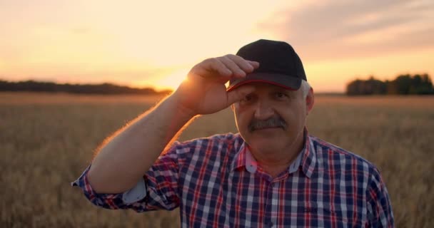 Portret van een lachende oudere volwassen boer met een pet op in een veld van granen. Bij zonsondergang lacht een oudere man in een tractor chauffeur na een werkdag en kijkt naar de camera.. — Stockvideo