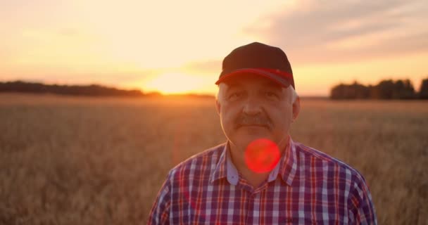 Portrait d'un agriculteur âgé souriant dans une casquette dans un champ de céréales. Au coucher du soleil, un homme âgé dans un conducteur de tracteur après une journée de travail sourit et regarde la caméra. — Video