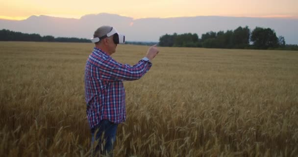 Senior vuxen jordbrukare i en virtuell verklighet hjälm i ett fält av spannmål grödor. I solnedgångsljuset använder en äldre man i traktorchaufför glasögon av virtuell verklighet. VR-teknik och modern jordbruksindustri — Stockvideo