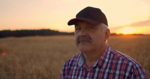 Retrato de um agricultor adulto sênior feliz em um boné em um campo de grãos olhando para o pôr do sol. Campo de trigo de cereais ao pôr-do-sol. Movimento lento — Vídeo de Stock