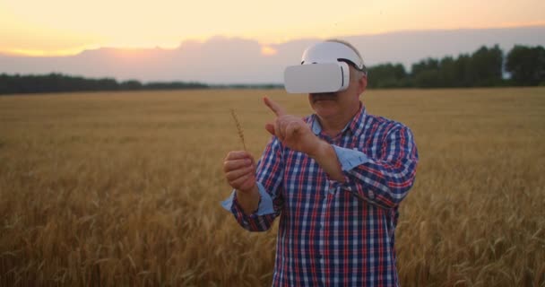 Fermier adulte âgé dans un casque de réalité virtuelle dans un champ de cultures céréalières. Au coucher du soleil, un homme âgé dans un conducteur de tracteur utilise des lunettes de réalité virtuelle. Technologies VR et agro-industrie moderne — Video