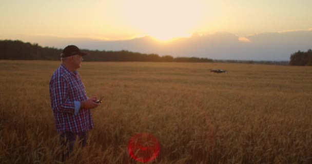 Egy idős férfi agronómus a gabonatermesztés területén egy drónt vezet joystick vezérlővel. Egy idős ember és a modern technológia. — Stock videók