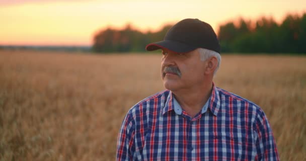 Portret szczęśliwego dorosłego farmera w czapce na polu ziarna patrzącego na zachód słońca. Pole pszenicy o zachodzie słońca. Zwolniony ruch — Wideo stockowe