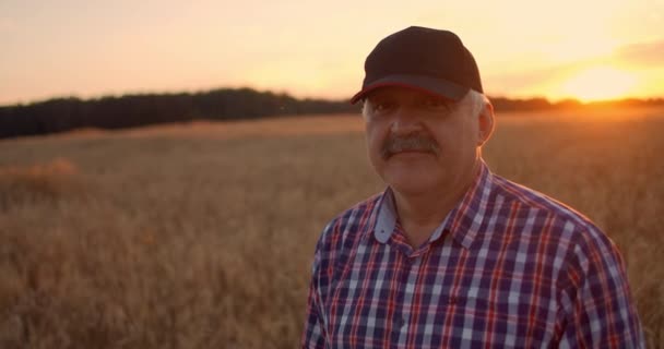 Портрет счастливого взрослого фермера в шапке на поле зерна, смотрящего на закат. Пшеничное поле злаков на закате. Медленное движение — стоковое видео