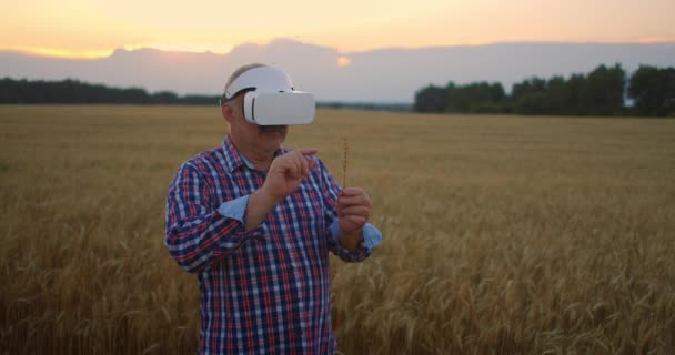 シニア大人の農家は、現代の技術とグラフィックスを使用して、手の中にスパイクを保持し、穀物に指を押すことによって農業のための仮想現実を使用しています. — ストック動画