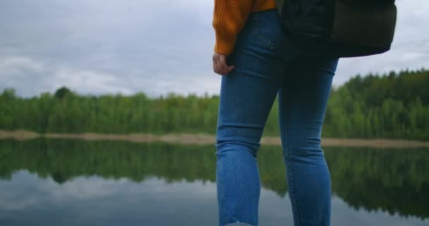 Vista trasera: Una mujer viajera con una mochila disfruta de la belleza de un lago de bosque de montaña de pie en un muelle de madera. Concepto de cámara lenta de un viaje solitario de mujeres. Cuarentena y viajes — Vídeo de stock