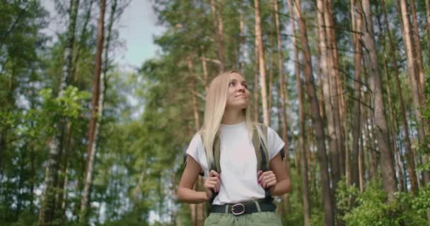 Handheld shot van bedachtzame serieuze vrouwelijke wandelaar met rugzak wandelen te midden van bomen in het bos. Een jonge vrouw met een rugzak wandelt op een zomerdag door het bos. — Stockvideo