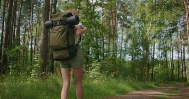 Visão traseira em câmera lenta: Mulher caucasiana adulta vestindo shorts e caminhadas de t-shirt através da floresta. Caminhadas de jovens — Vídeo de Stock