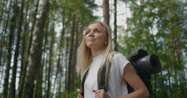 Donna che esplora radura con felci nel bosco. donna escursionista passeggiata nella giungla della foresta pluviale. Escursionista ragazza a piedi con lo zaino attraverso fitta natura foresta pluviale — Video Stock