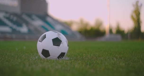 Placez le ballon de socker sur la pelouse et frappez le ballon dans le stade avec une pelouse verte. Un footballeur professionnel donne un coup de pied au ballon au ralenti — Video