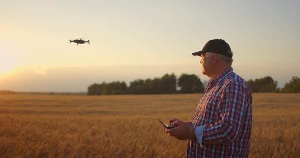 Il vecchio agricoltore utilizza doron in agricoltura guida e pilota sul campo con grano e spuntoni — Video Stock