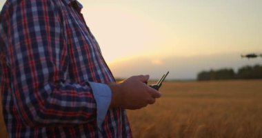Şapkalı yaşlı bir erkek çiftçi gün batımında buğday tarlasında dron sürüyor. Yaşlı çiftçi tarımda drone kullanıyor