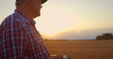 Çiftçi kuadkopter arka planda uçarken uzaktan kumandayı elleriyle tutuyor. Drone buğday tarlasında tarım uzmanının arkasında geziniyor. Tarım teknolojileri ve yenilikler.