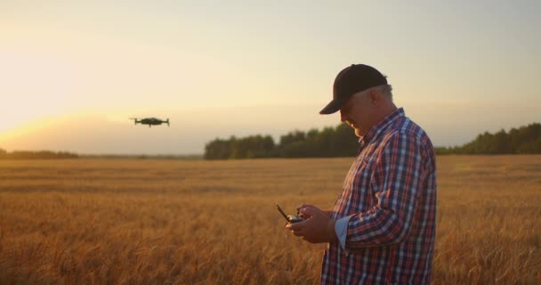 Een oudere mannelijke boer met een pet rijdt met een drone over een tarweveld bij zonsondergang. Oude boer gebruikt drone in de landbouw — Stockvideo