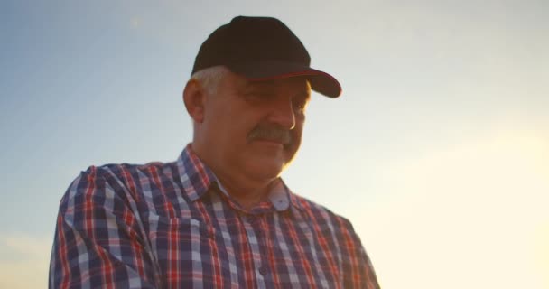 Een close-up van een mannelijke boer houdt tarwe vast in het zonlicht en onderzoekt bij zonsondergang de pieken. Penselen van rogge in zonlicht in de handen van een oudere boer — Stockvideo