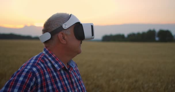 Stå vid solnedgången i en VR-hjälm och inspektera vetefältet. En bonde med virtuella verklighetsglasögon kontrollerar gårdarnas ägande. Flytta huvudet i en VR-hjälm — Stockvideo