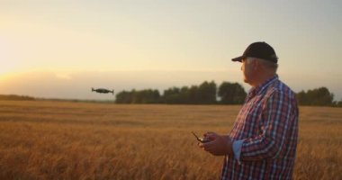 Yaşlı bir erkek çiftçi gün batımında buğday tarlasının üzerinden uçmak için dron kullanır. Tarım alanında modern teknolojiler